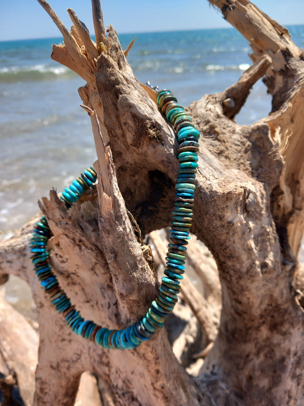Collier arizona 2