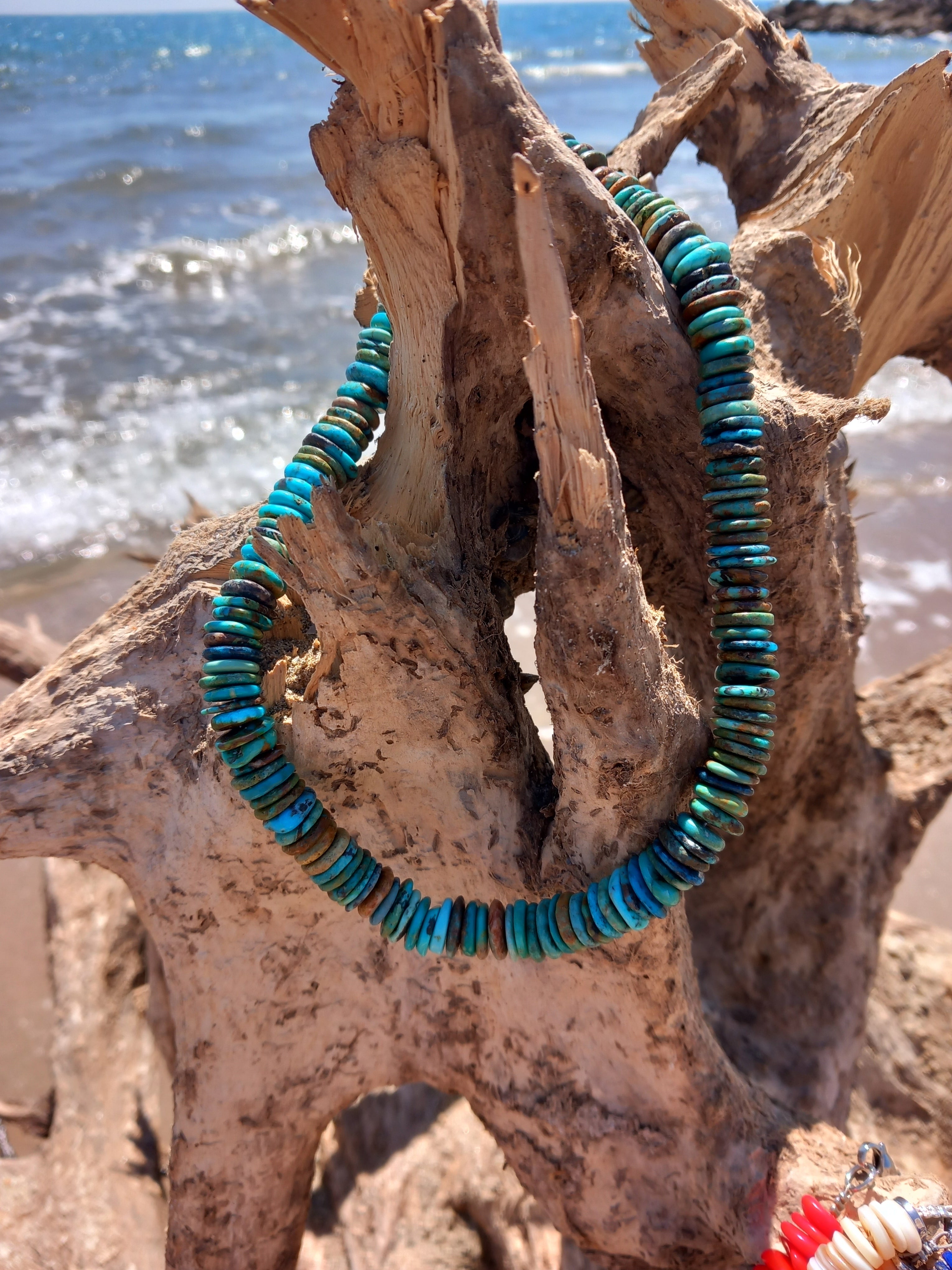 Collier arizona 2