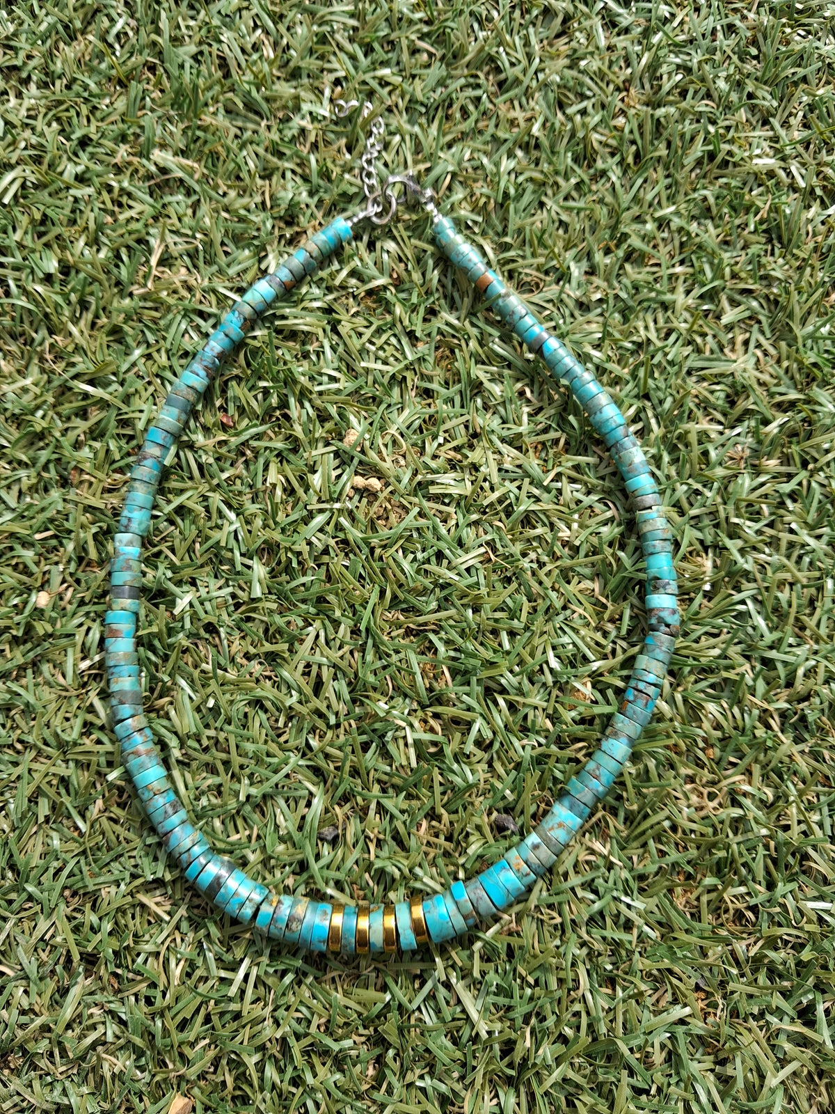 Collier arizona 8