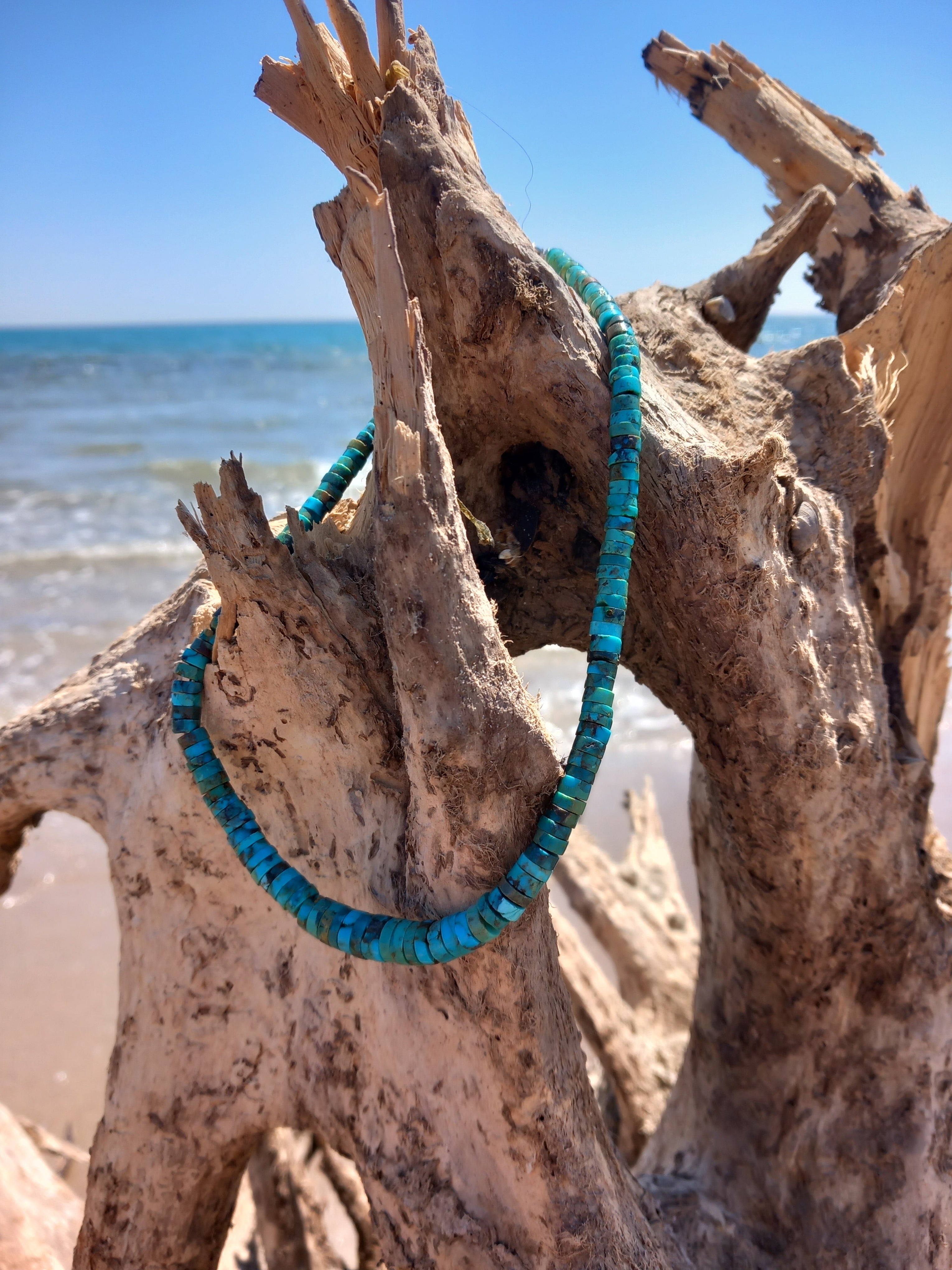 Collier arizona 2