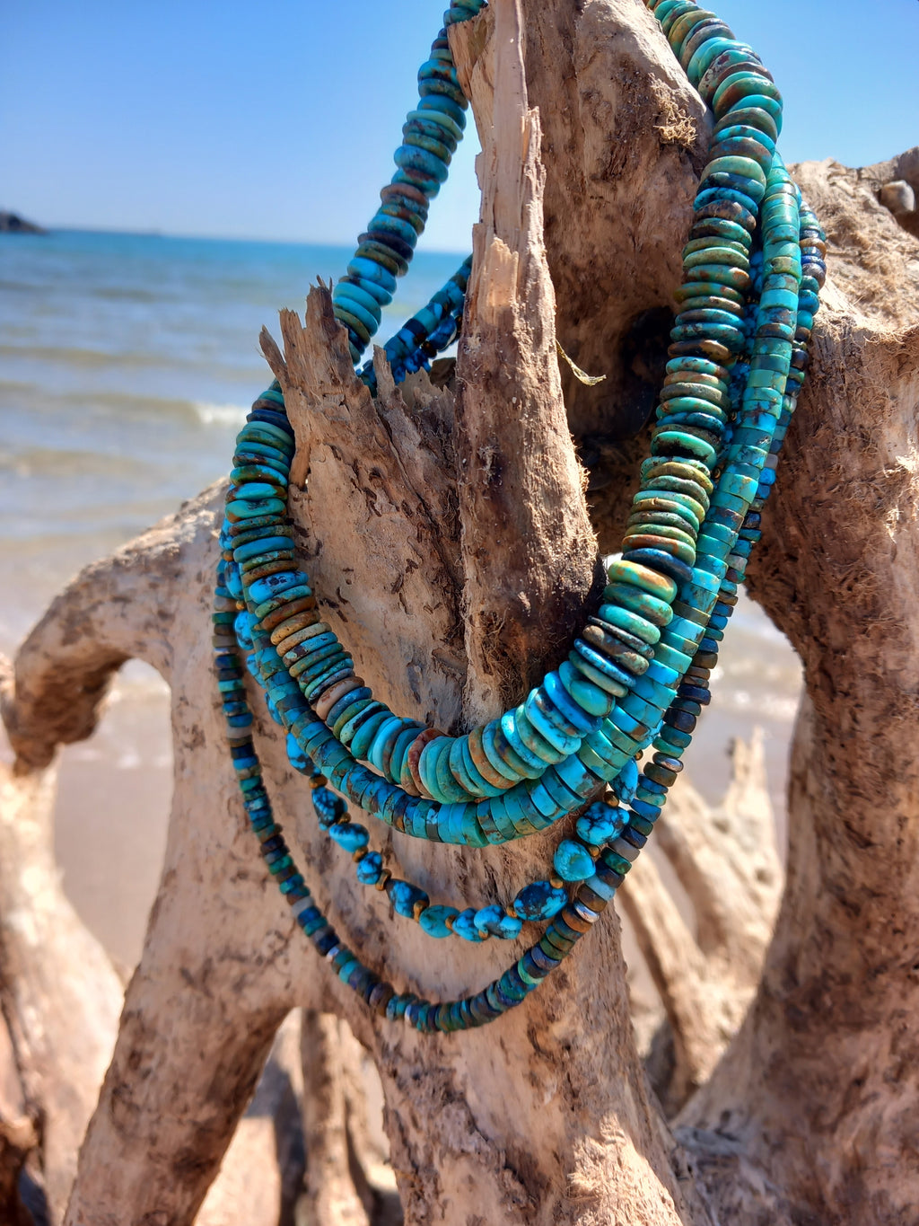 Collier arizona 2