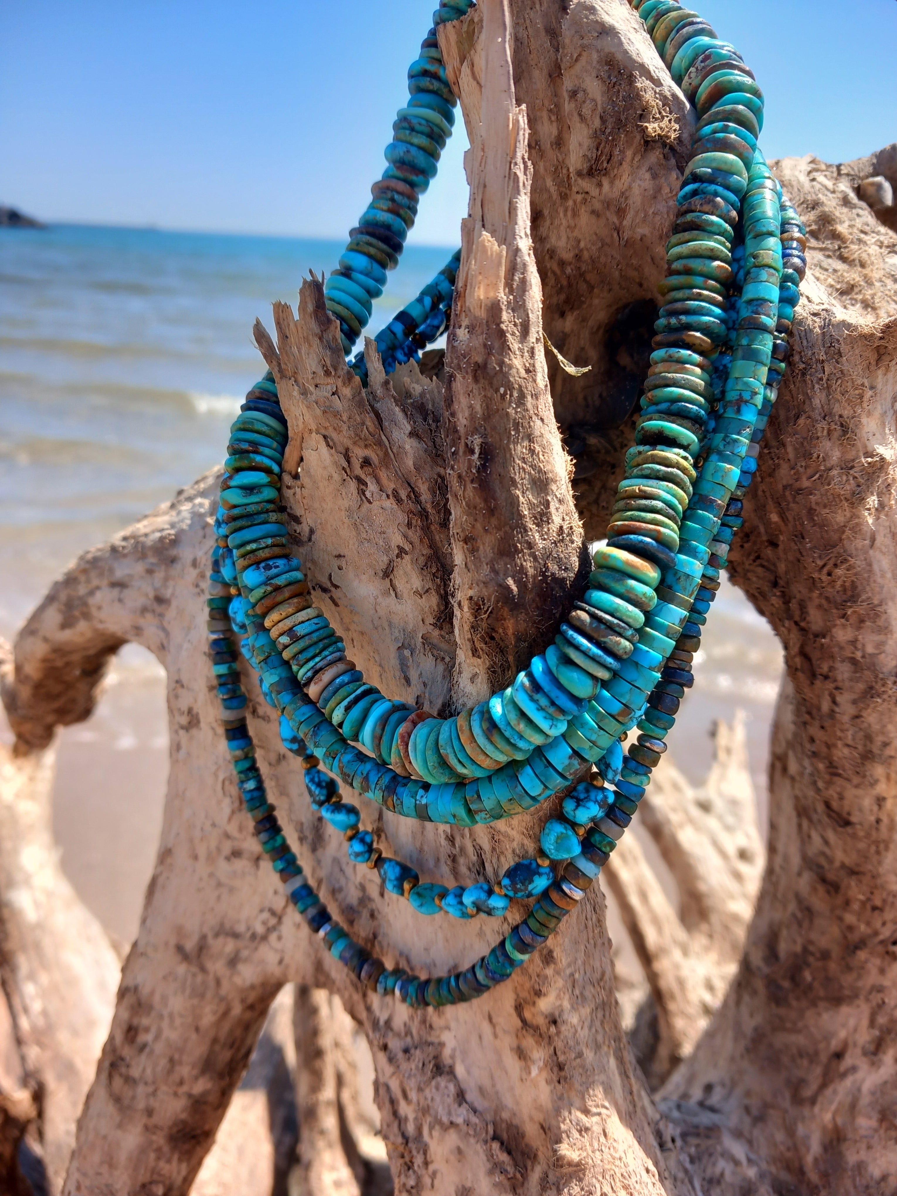 Collier arizona 2