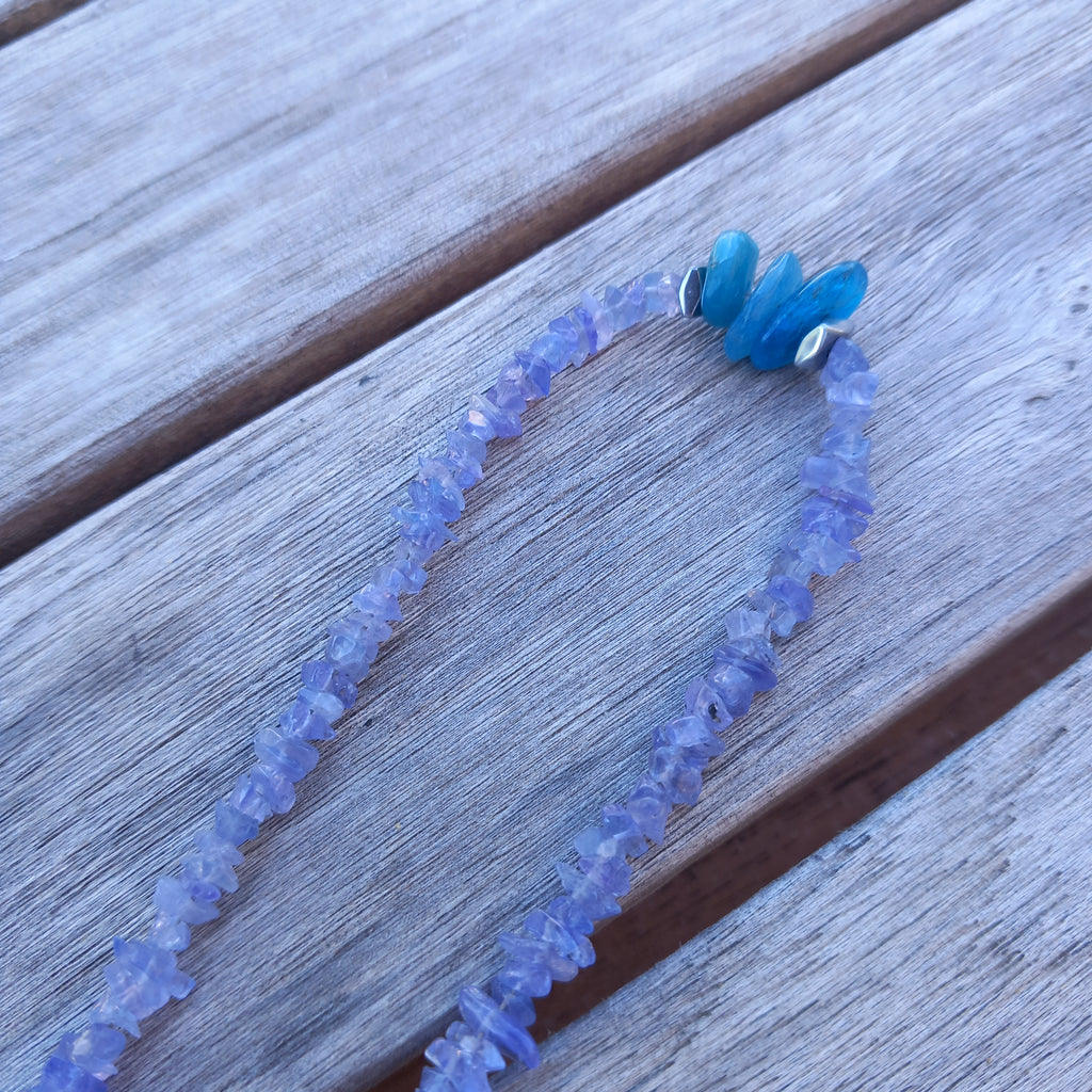 Collier dalmates 4