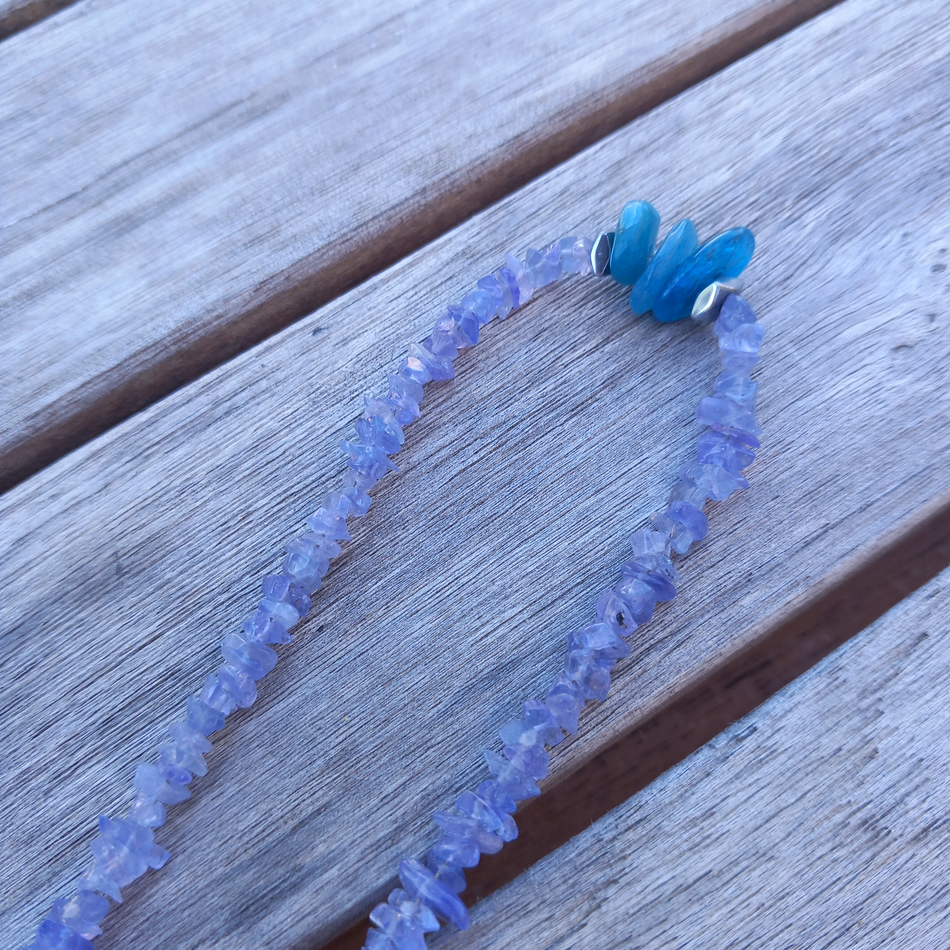 Collier dalmates 4