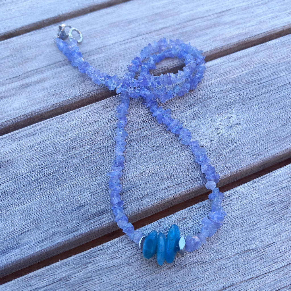 Collier dalmates 4